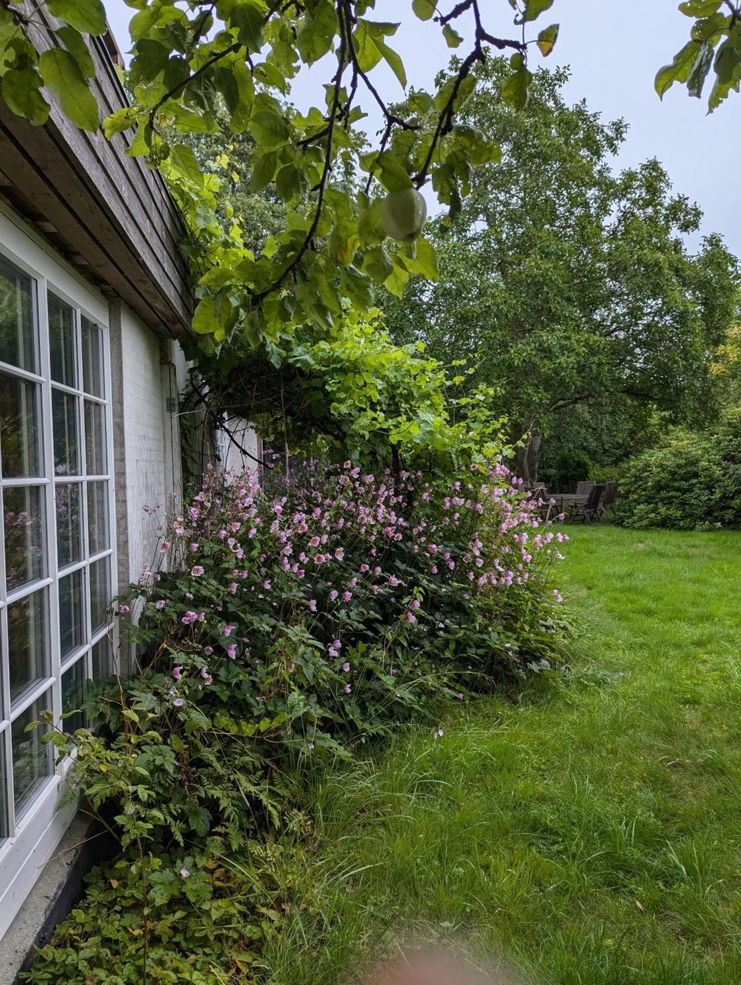 Lejlighed Ved Skov Græsted Exteriör bild