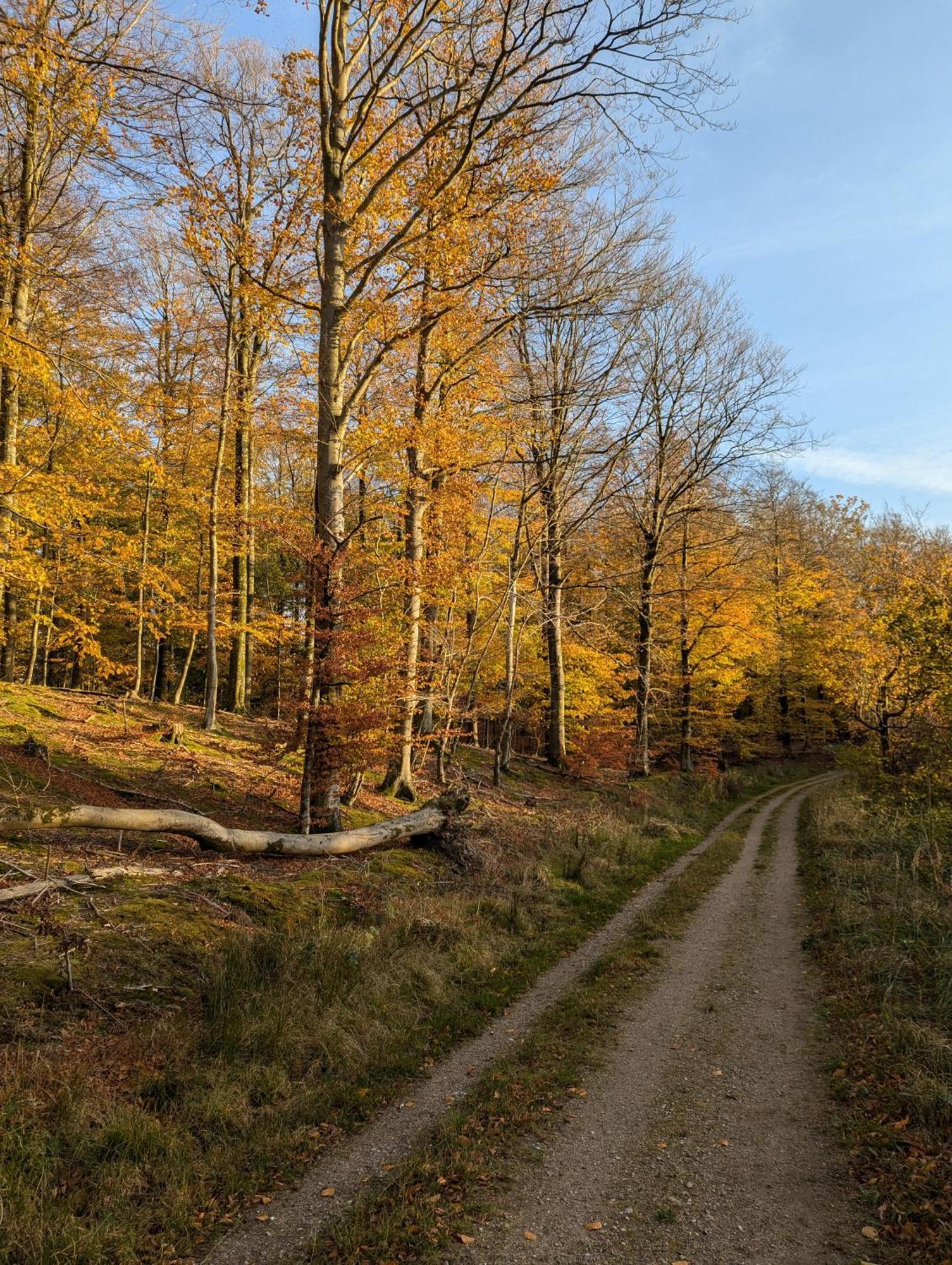Lejlighed Ved Skov Græsted Exteriör bild